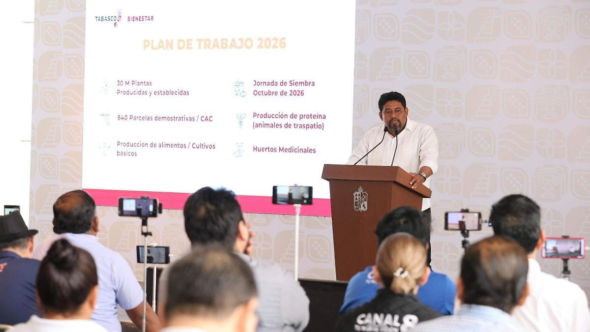 Impulso a la Producción Rural en Tabasco: Sembrando Vida Proyecta 30 Millones de Plantas